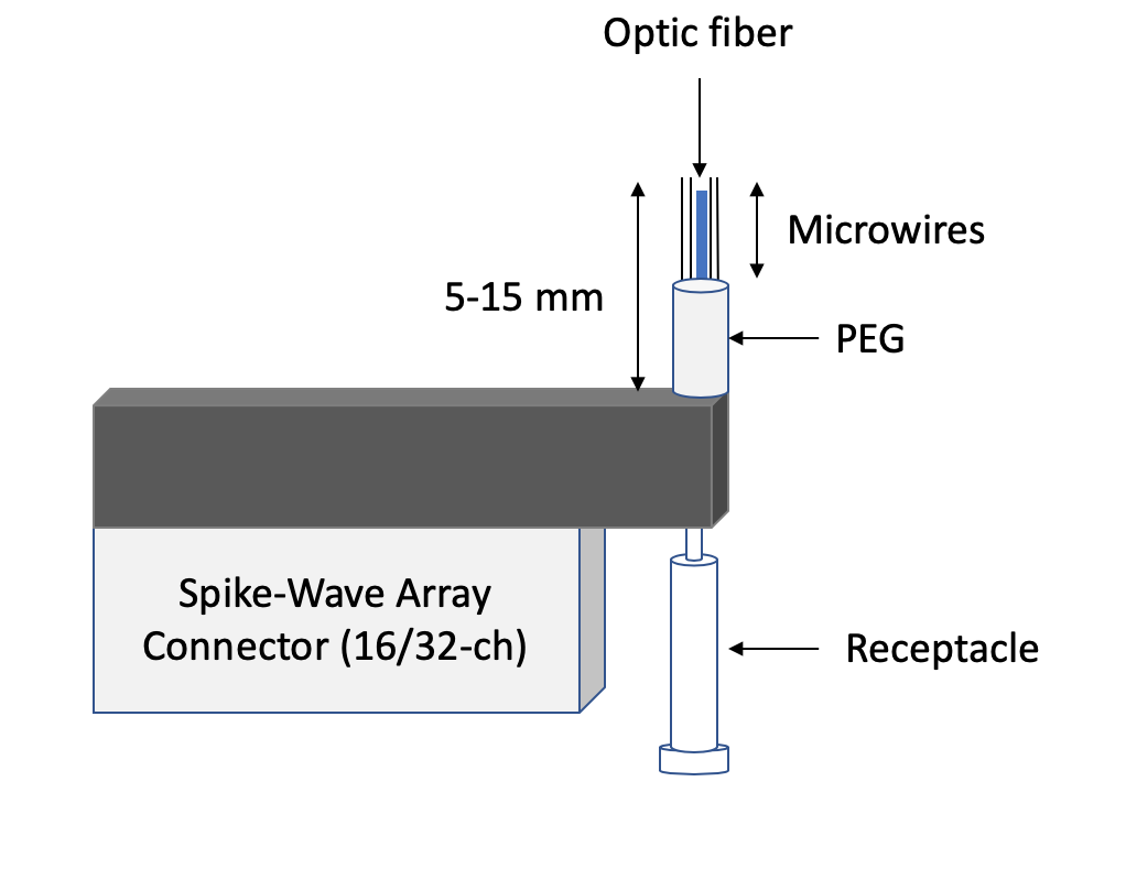 hybrid array 1